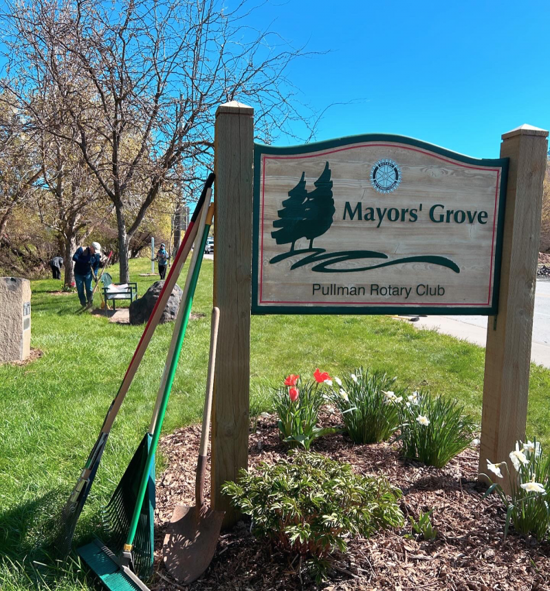 Mayors' Grove Park